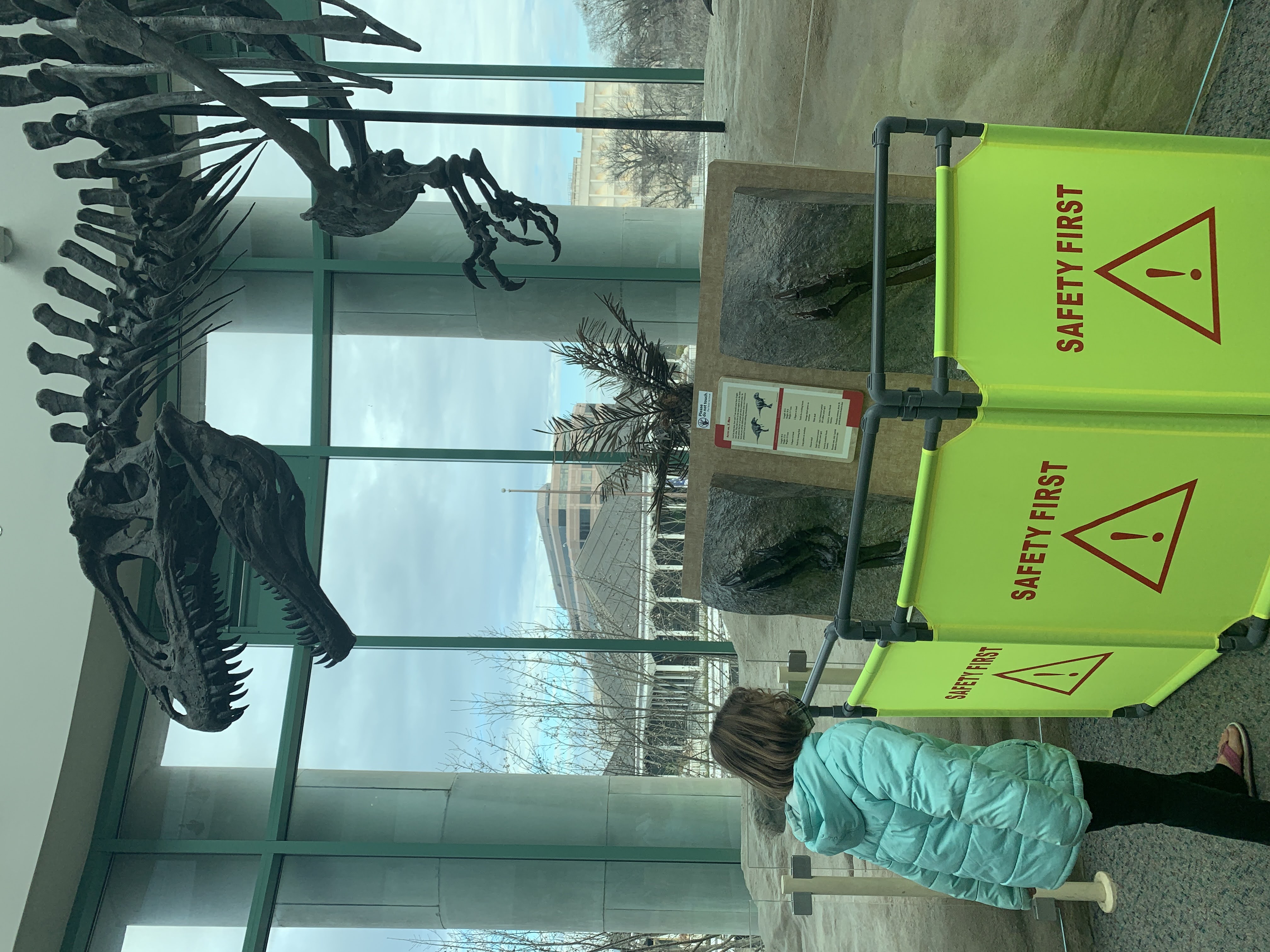 Museum Normal